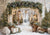 Kate Noël Arche Neige Arbres Lumière Toile de fond conçue par Emetselch