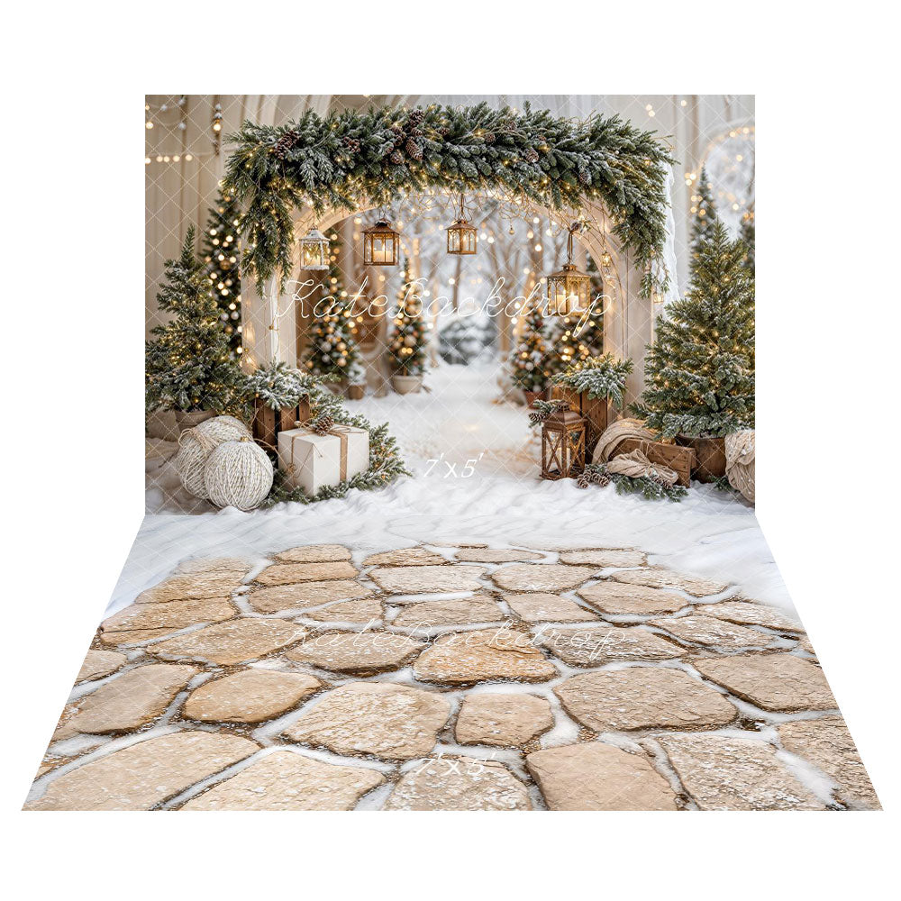 Kate Noël Arche Neige Arbres Lumière Toile de fond+Hiver Pierres Neige Sol Toile de fond