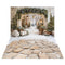 Kate Noël Arche Neige Arbres Lumière Toile de fond+Hiver Pierres Neige Sol Toile de fond