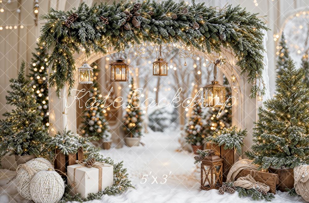 Kate Noël Arche Neige Arbres Lumière Toile de fond conçue par Emetselch