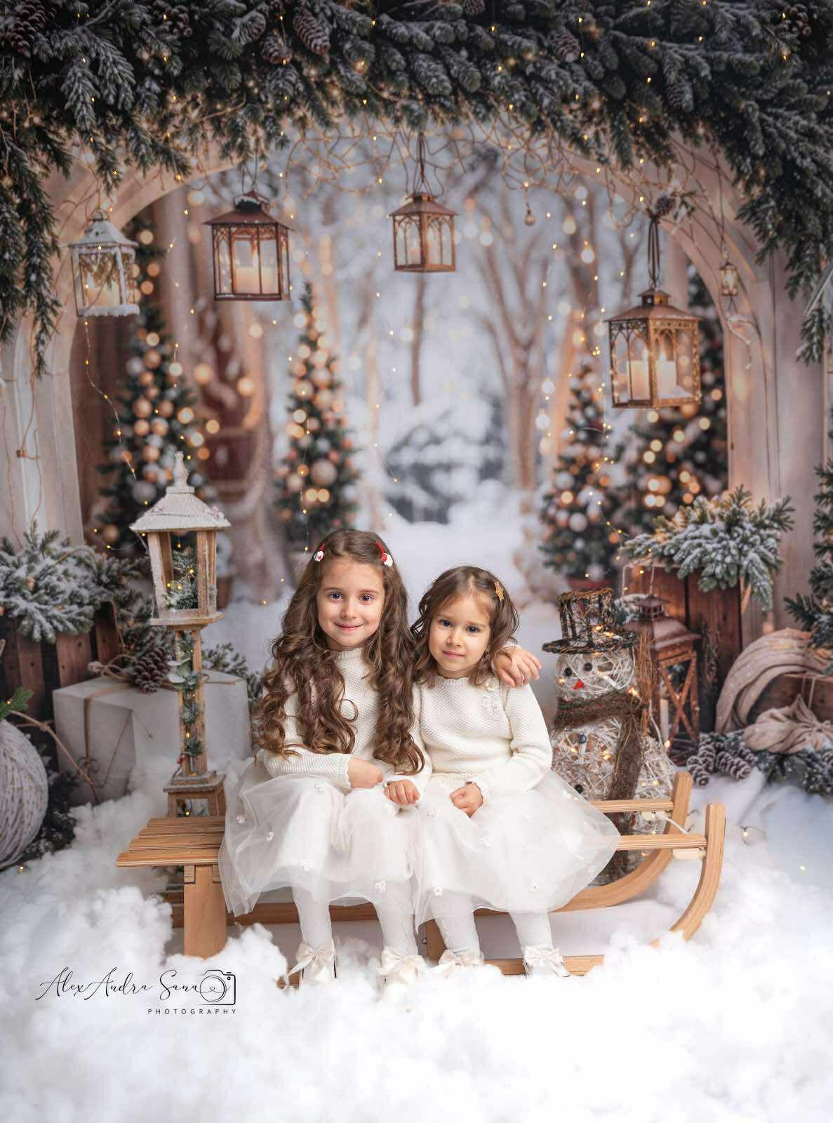 Kate Noël Arche Neige Arbres Lumière Toile de fond conçue par Emetselch