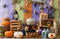 Kate Halloween Toiles d'araignées Citrouilles Bois Toile de fond conçue par Emetselch - Kate Backdrop FR