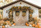 Kate Automne Grange Tournesol Citrouilles Toile de fond conçue par Emetselch - Kate Backdrop FR