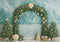 Kate Sapin de Noël Arche Étoile de mer Toile de fond conçue par Megan Leigh - Kate Backdrop FR