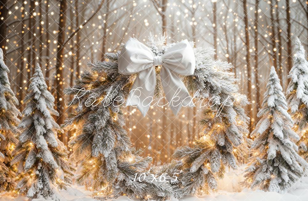 Kate Noël Neige Forêt Lumières Toile de fond conçue par Emetselch