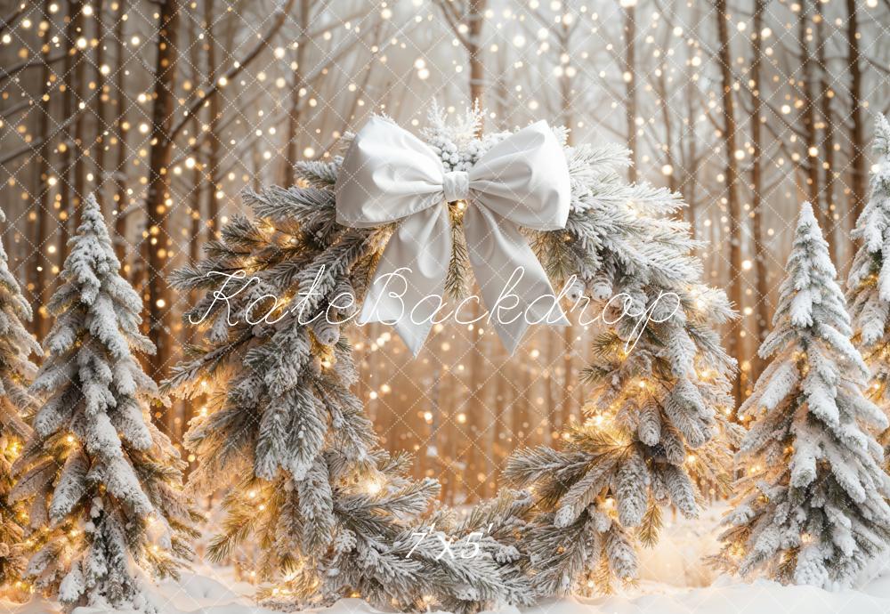 Kate Noël Neige Forêt Lumières Toile de fond conçue par Emetselch