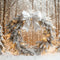 Kate Noël Neige Forêt Lumières Toile de fond conçue par Emetselch