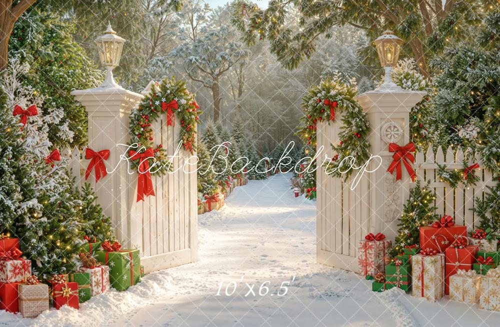 Kate Noël Neige Portail Jardin Chemin Toile de fond conçue par Emetselch