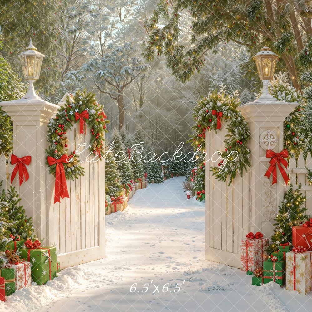 Kate Noël Neige Portail Jardin Chemin Toile de fond conçue par Emetselch