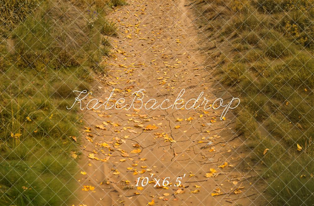 Kate Automne Allée Feuilles Herbe Sol Toile de fond conçue par Kate Image - Kate Backdrop FR