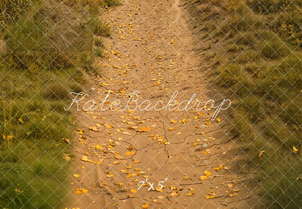 Kate Automne Allée Feuilles Herbe Sol Toile de fond conçue par Kate Image - Kate Backdrop FR