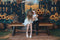 Kate Automne Tournesol Panier Chemin Toile de fond+Chemin en Bois Herbe Sol Toile de fond - Kate Backdrop FR