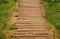 Kate Chemin en Bois Herbe verte Sol Toile de fond conçue par Kate Image