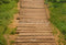 Kate Chemin en Bois Herbe verte Sol Toile de fond conçue par Kate Image