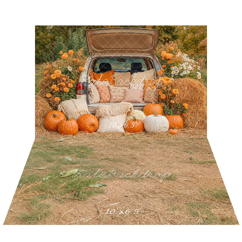 Kate Automne Citrouilles Foin Voiture Toile de fond+Herbe Sèche Terre Sol Toile de fond