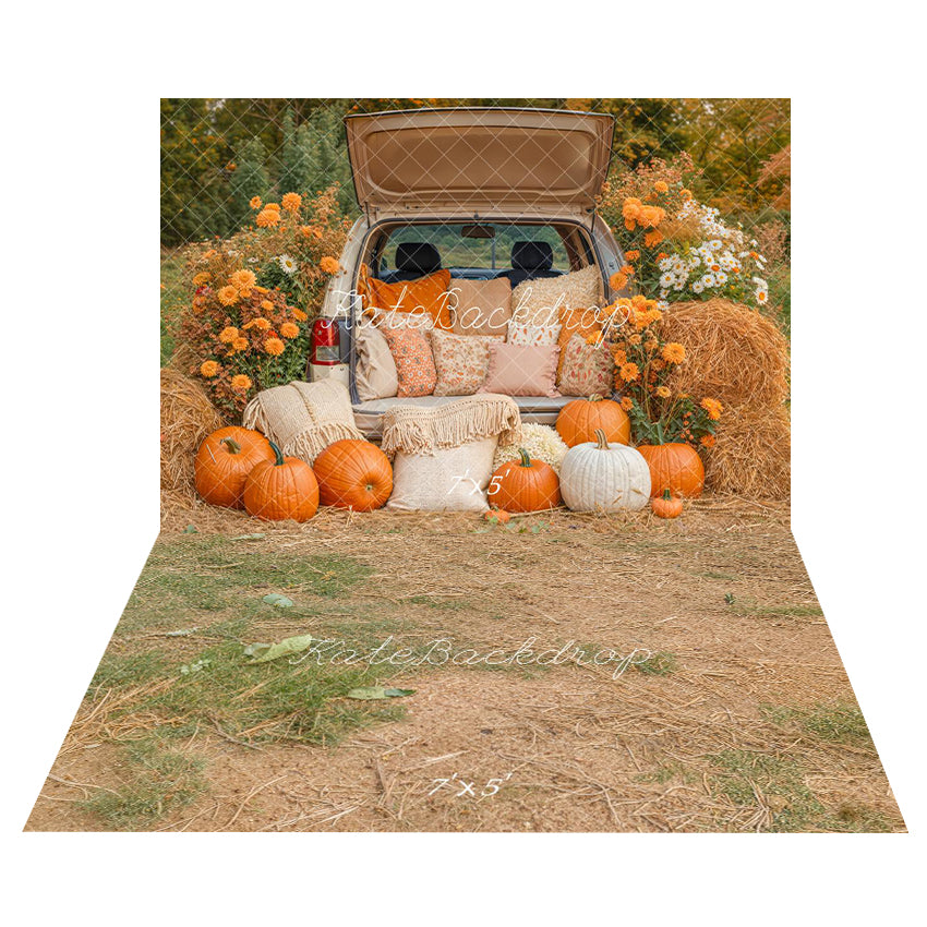 Kate Automne Citrouilles Foin Voiture Toile de fond+Herbe Sèche Terre Sol Toile de fond