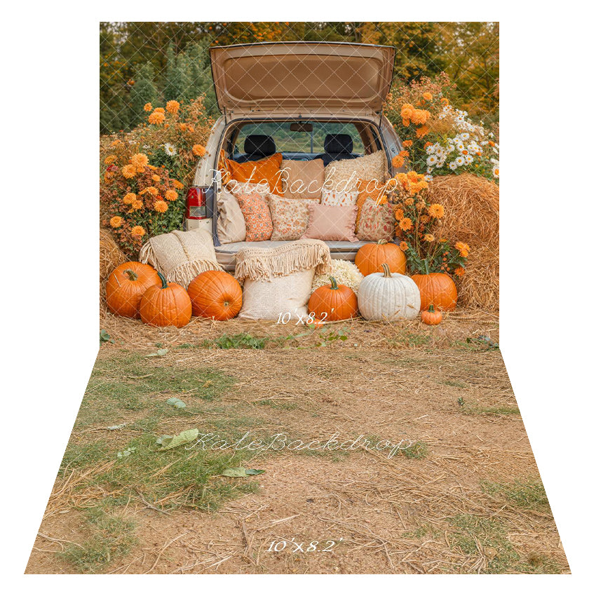 Kate Automne Citrouilles Foin Voiture Toile de fond+Herbe Sèche Terre Sol Toile de fond