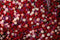 Kate Fleurs Roses Rouge & Rose Toile de fond conçue par Mini MakeBelieve - Kate Backdrop FR