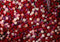 Kate Fleurs Roses Rouge & Rose Toile de fond conçue par Mini MakeBelieve - Kate Backdrop FR