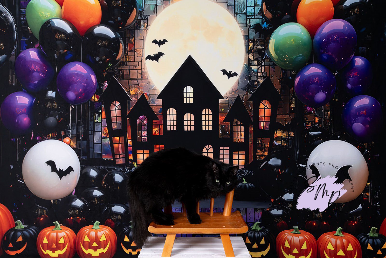 Kate Halloween Lune Maison hantée Ballons Toile de fond conçue par Mini MakeBelieve - Kate Backdrop FR