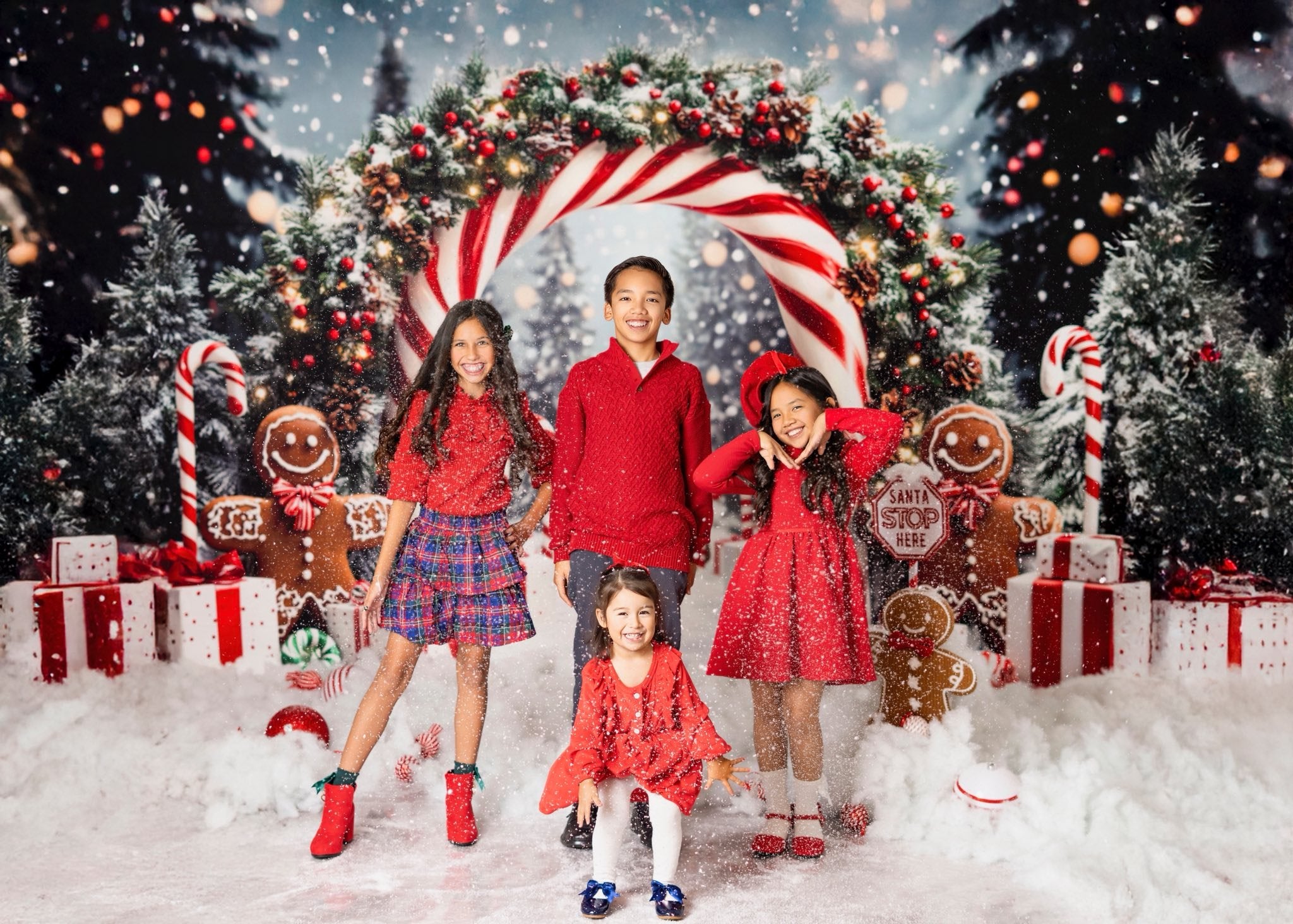 Kate Noël Arc Bonbons Pain d'Épice Neige Toile de fond conçue par Emetselch - Kate Backdrop FR