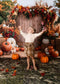 Kate Automne Citrouilles Fleurs Foin Toile de fond conçue par Emetselch