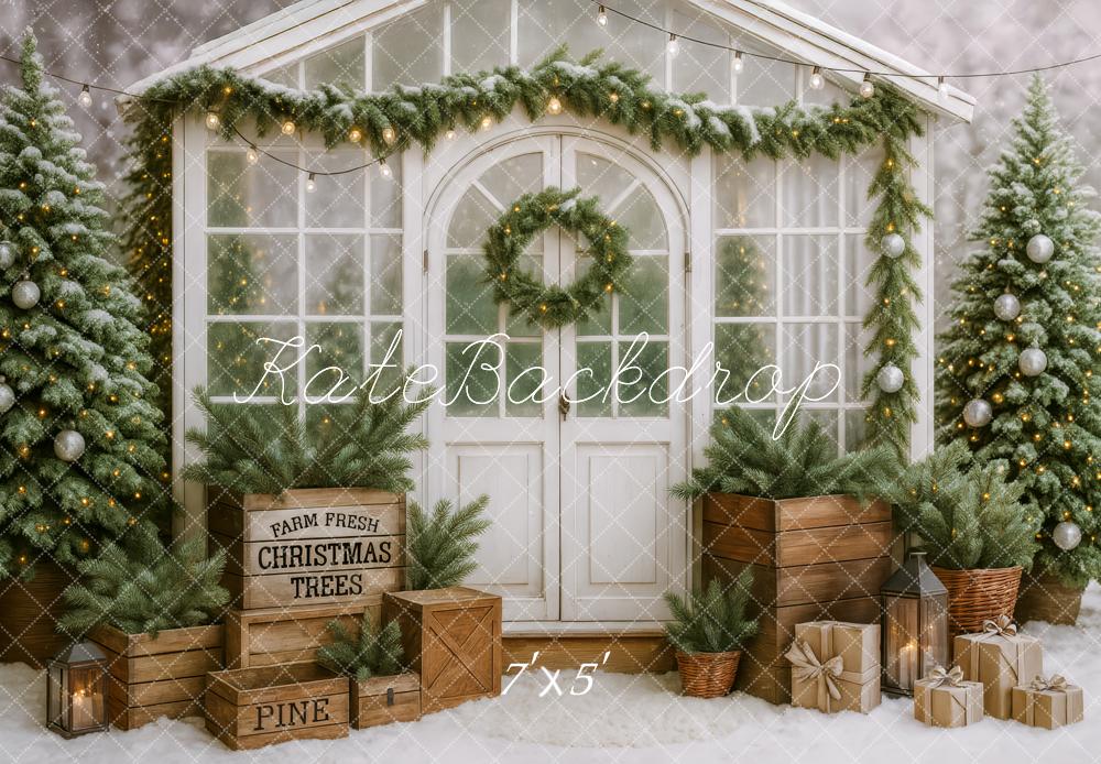 Kate Noël Serre Sapins Guirlande Toile de fond conçue par Patty Roberts