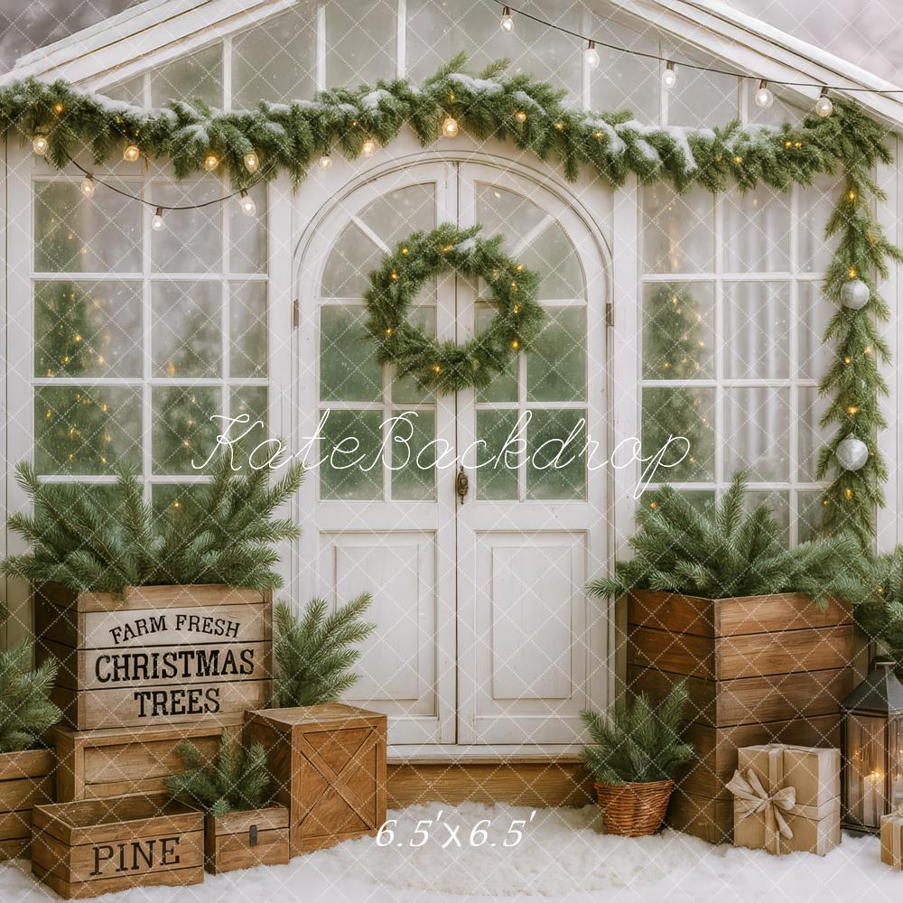 Kate Noël Serre Sapins Guirlande Toile de fond conçue par Patty Roberts