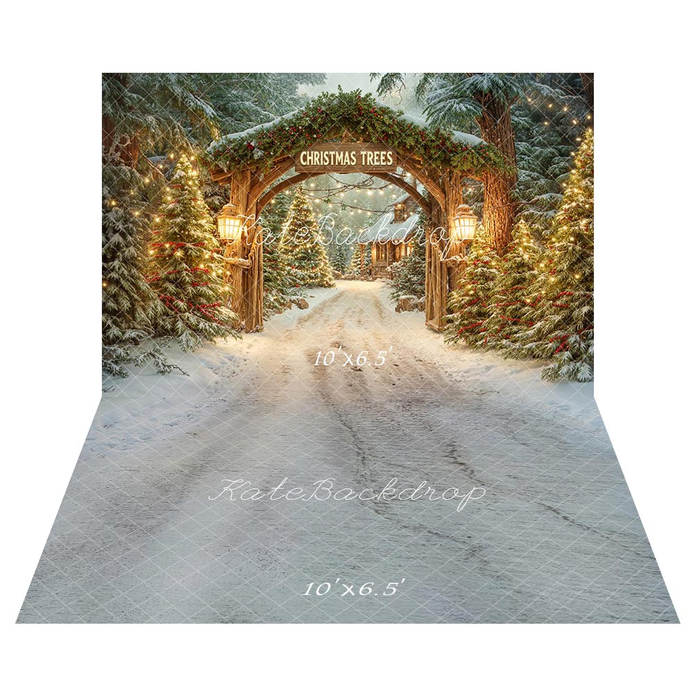 Kate Noël Arche Sapins Lumières Toile de fond+Chemin Neige Blanc Sol Toile de fond