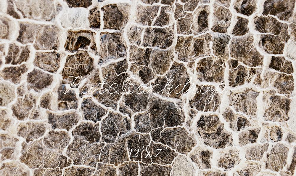 Kate Texture Pierre Gris Sol Mur Toile de fond en Vinyle