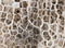 Kate Texture Pierre Gris Sol Mur Toile de fond en Vinyle
