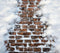Kate Hiver Blanc Neige Chemin de briques Sol Toile de fond en Vinyle