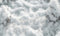 Kate Forêt Blanc Hiver Pays de neige Toile de fond en Vinyle