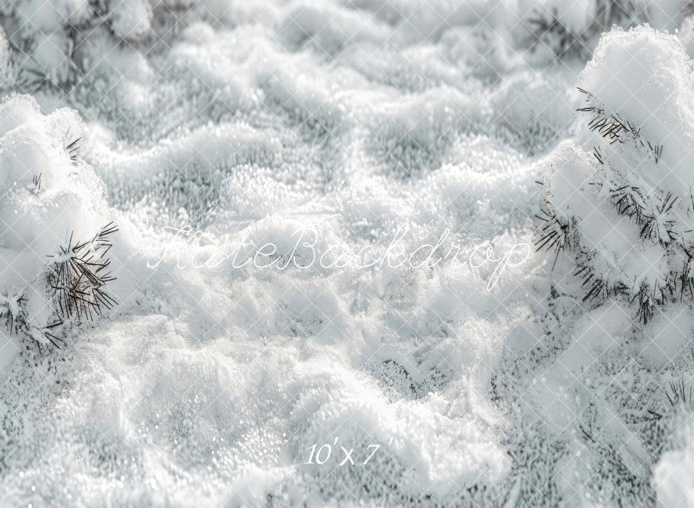 Kate Forêt Blanc Hiver Pays de neige Toile de fond en Vinyle
