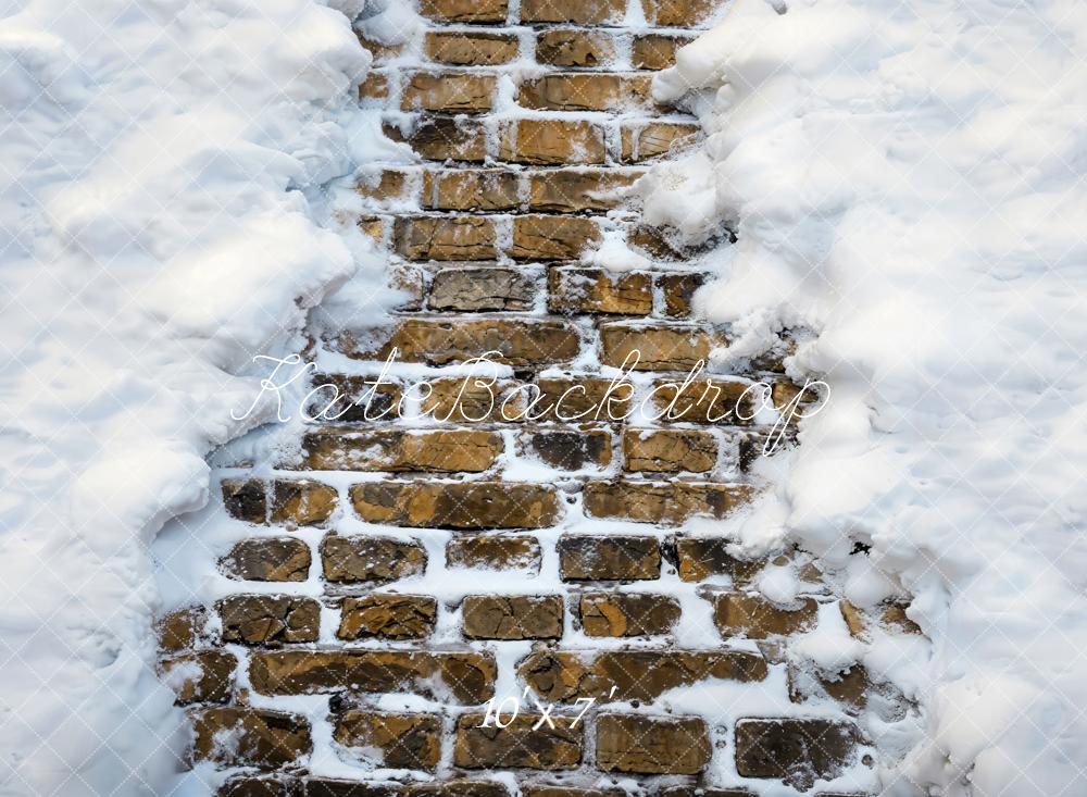 Kate Hiver Neige Route en briques Sol Toile de fond en Vinyle