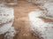 Kate Hiver Chemin enneigé Sol Toile de fond en Vinyle