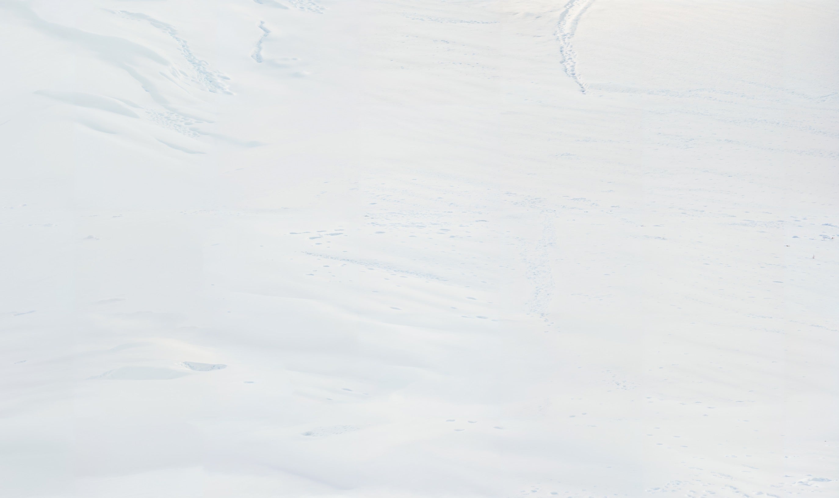 Kate Hiver Neige Blanc Sol Fond en Vinyle - Kate Backdrop FR