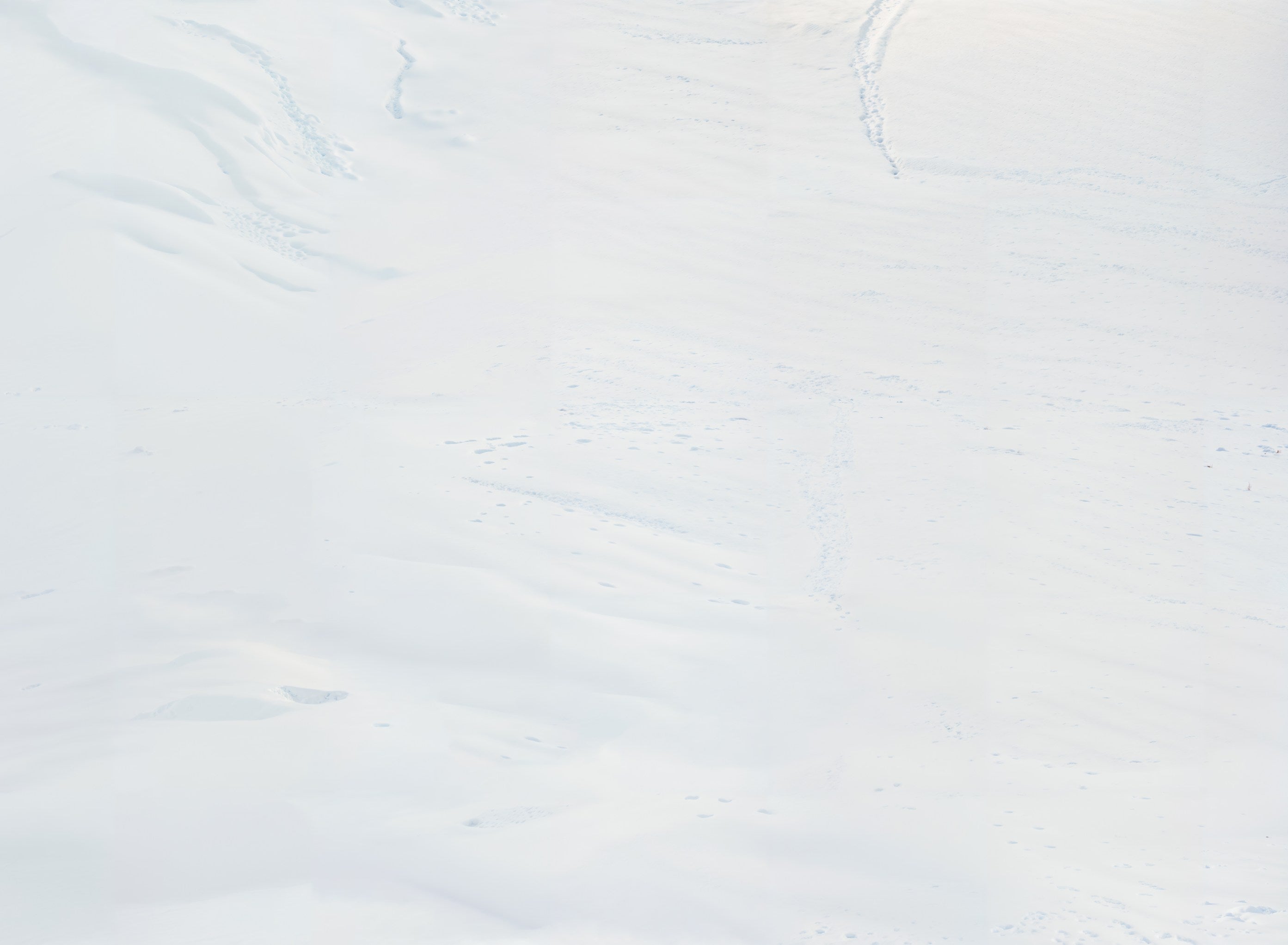 Kate Hiver Neige Blanc Sol Fond en Vinyle - Kate Backdrop FR