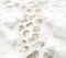 Kate Hiver Neige Pavés Chemin Sol Toile de fond en Vinyle