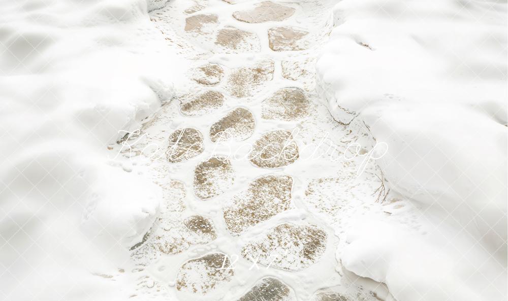 Kate Hiver Neige Pavés Chemin Sol Toile de fond en Vinyle
