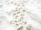 Kate Hiver Neige Pavés Chemin Sol Toile de fond en Vinyle