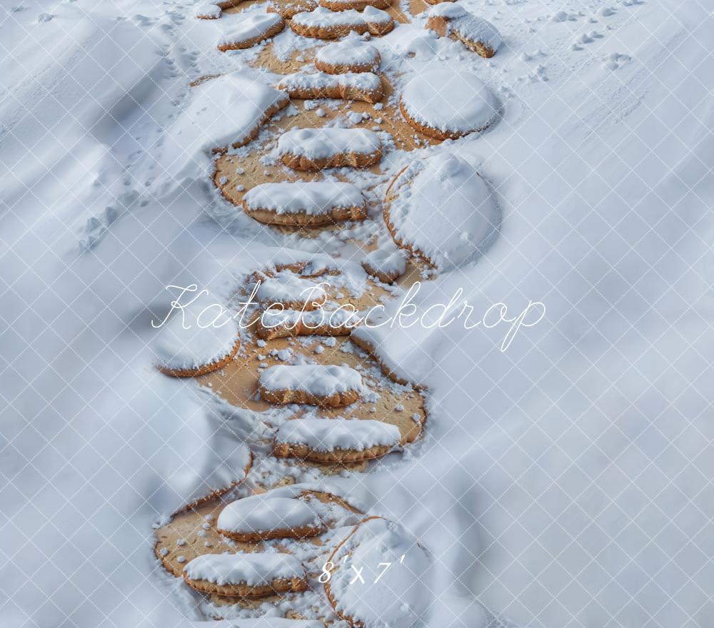 Kate Neige Chemin de Pierre Sol Toile de fond en Vinyle