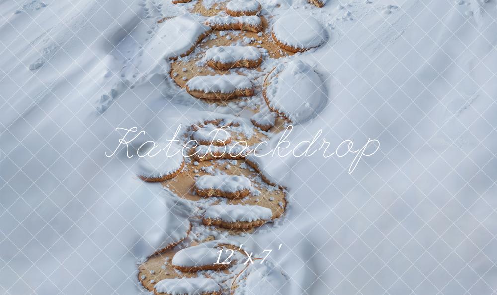 Kate Neige Chemin de Pierre Sol Toile de fond en Vinyle