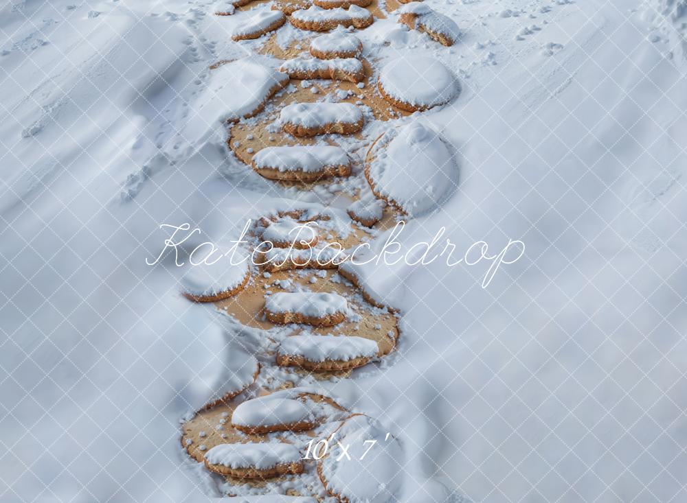 Kate Neige Chemin de Pierre Sol Toile de fond en Vinyle