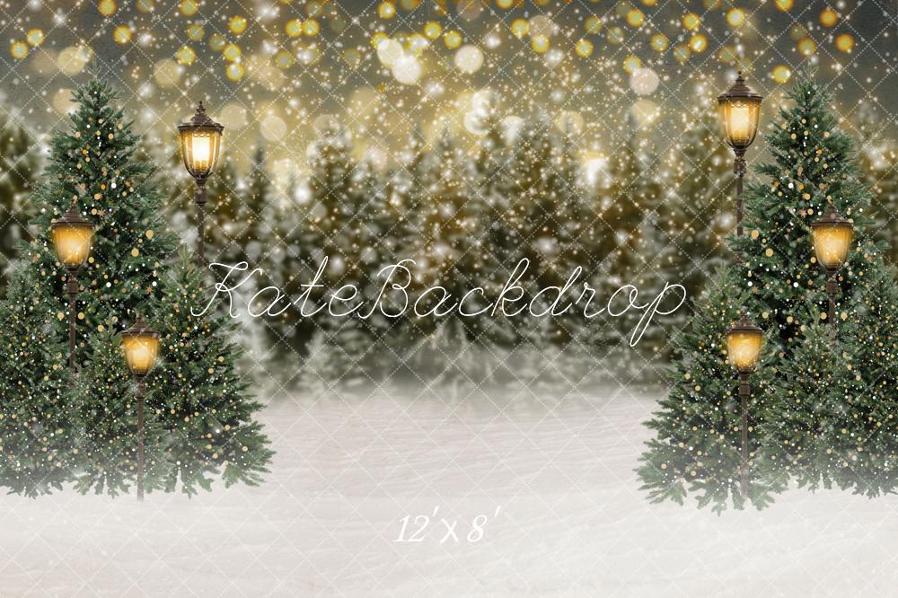 Kate Hiver Noël Neige Forêt Lumières Toile de fond en Laine pour la photographie - Kate Backdrop FR