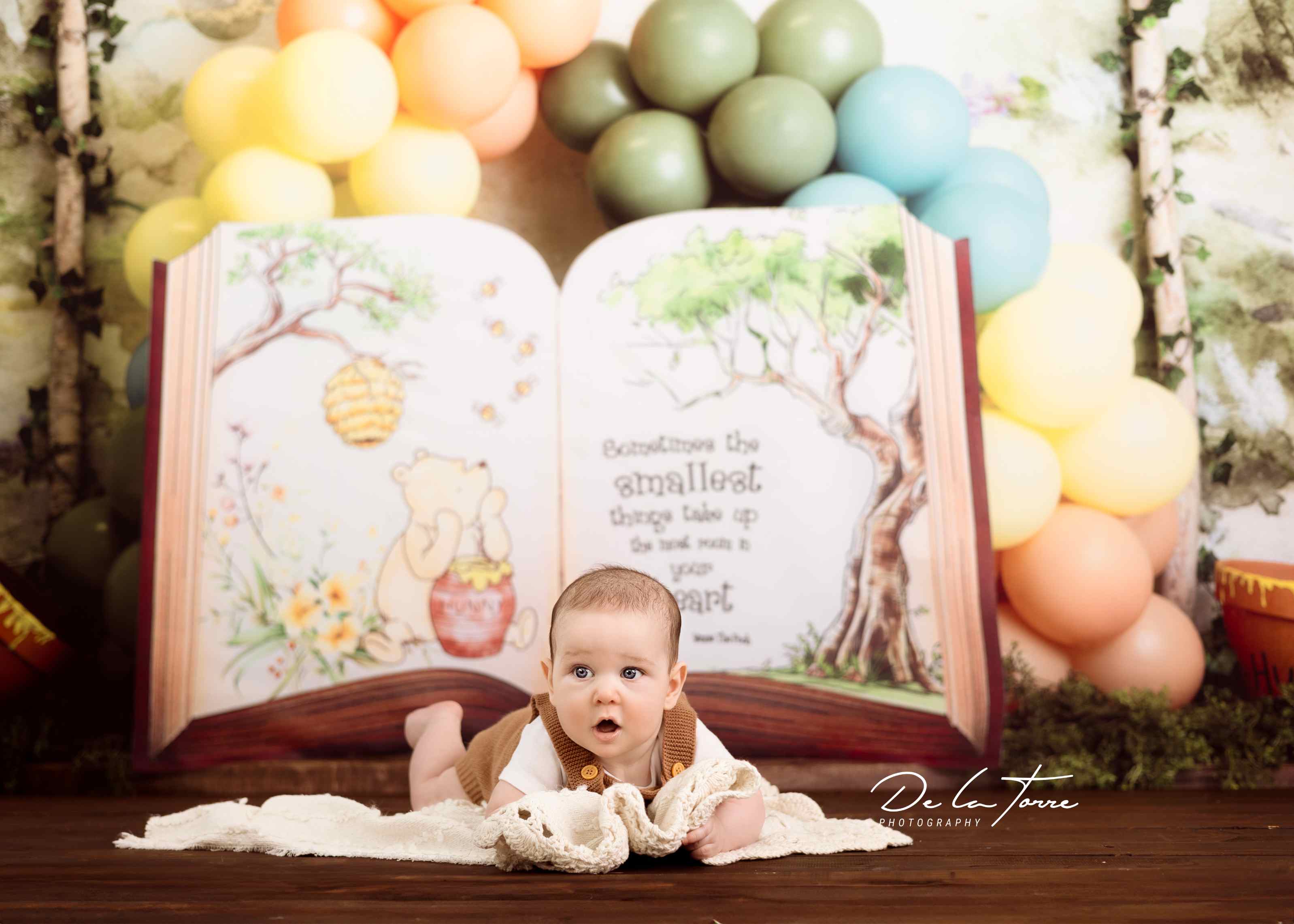Kate Livre d'histoire Ballons Forêt Anniversaire Toile de fond conçue par Megan Leigh - Kate Backdrop FR