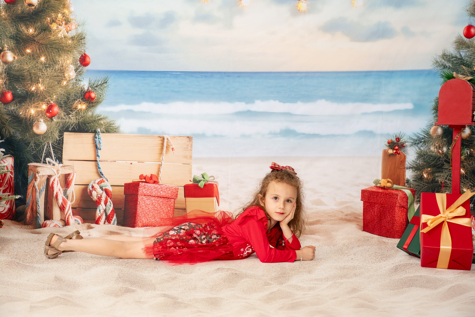 Kate Noël Plage Mer Cadeaux Toile de fond Conçu par Chain Photographie - Kate Backdrop FR
