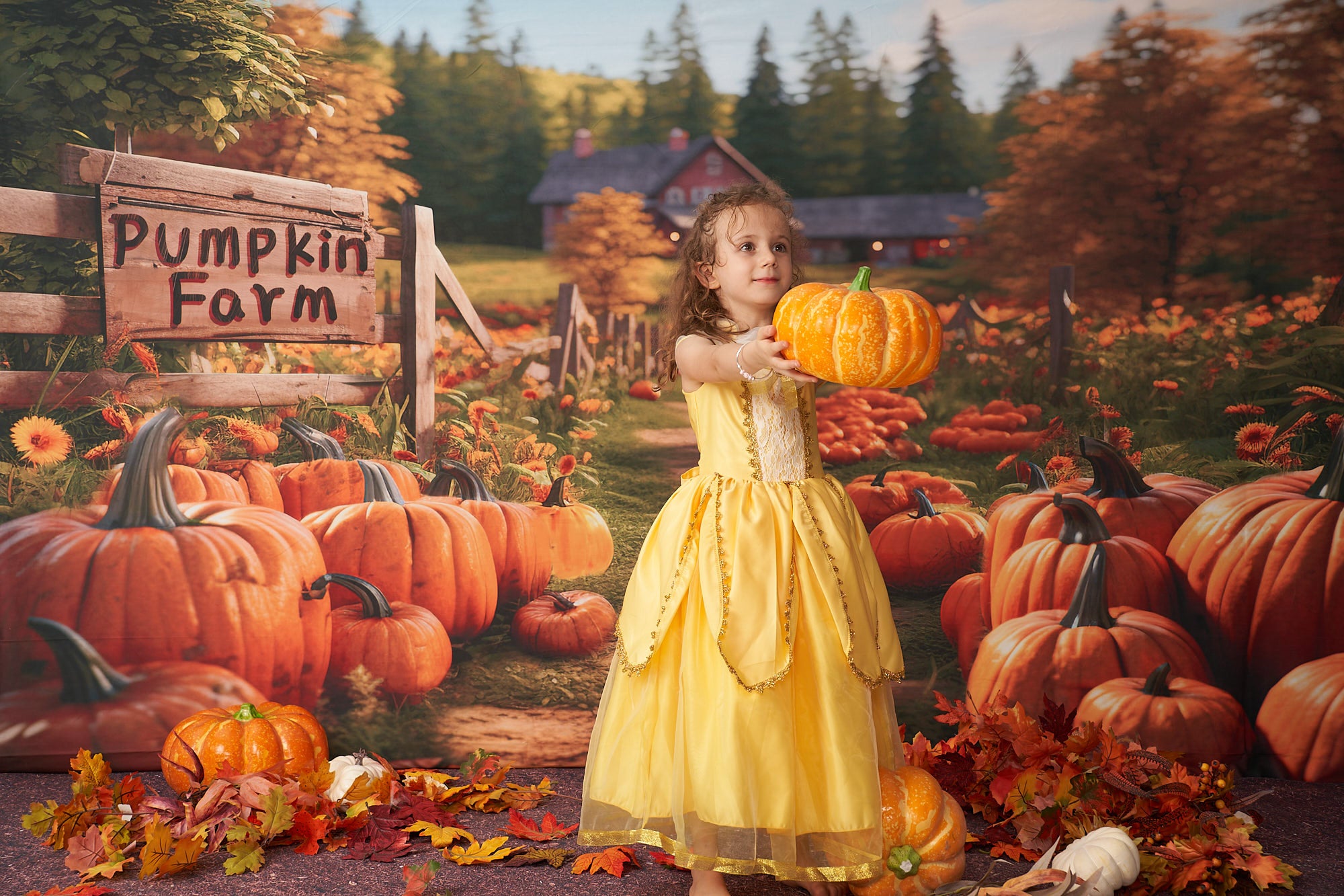 Kate Automne Ferme de citrouilles Toile de fond conçu par Emetselch - Kate Backdrop FR