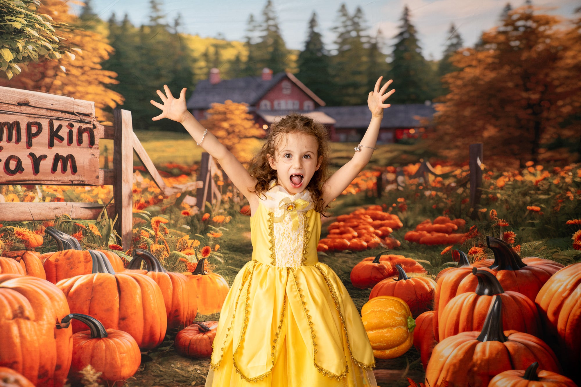 Kate Automne Ferme de citrouilles Toile de fond conçu par Emetselch - Kate Backdrop FR