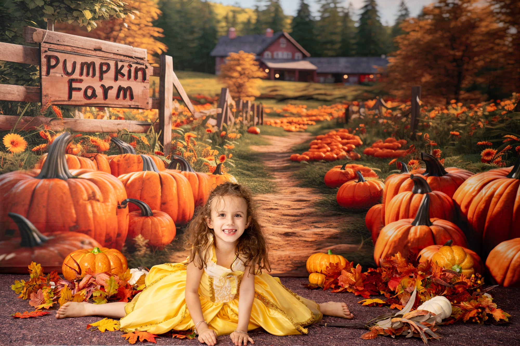 Kate Automne Ferme de citrouilles Toile de fond conçu par Emetselch